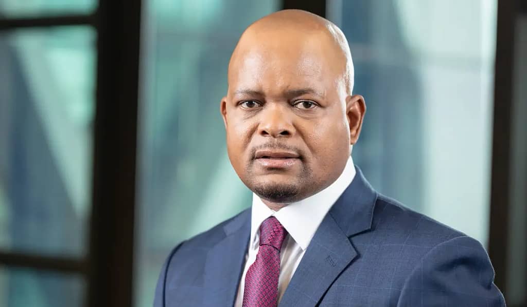 Thapelo Tsheole, Botswana Expert Picked CEO