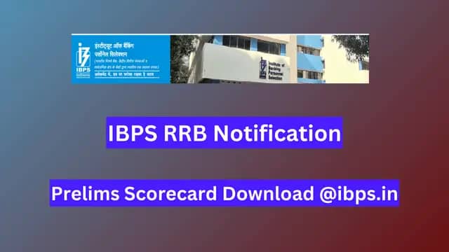 IBPS RRB Notification 2024, Exam Date, Vacancy, Selection Process, Fee